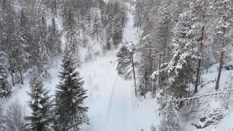 Winterlandschaft---Ein-Auto,-Das-Auf-Der-Verschneiten-Straße-Im-Wald-Fährt---Drohnenaufnahme-Aus-Der-Luft