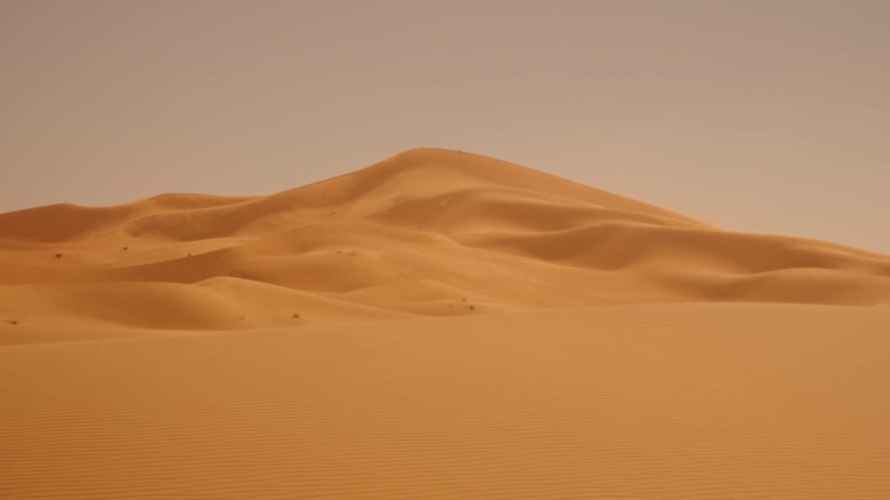 Golden Sahara dunes form soft flowing shapes carved gently by desert winds
