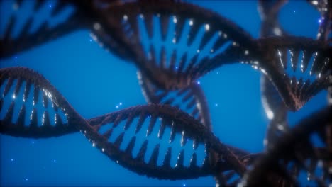 structure of the dna double helix animation