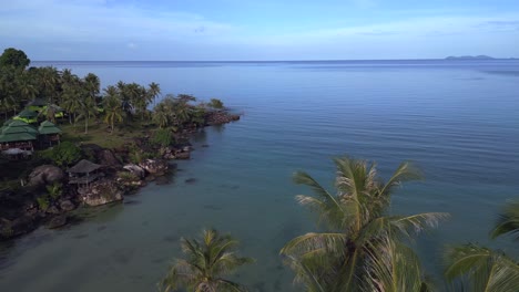 Long-flight-from-sea-over-beach-palm-trees