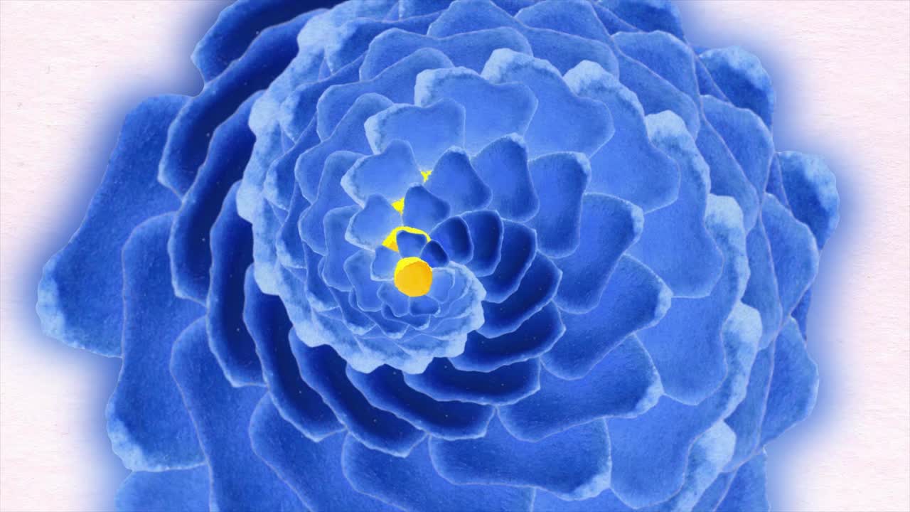 macro de la flor azul