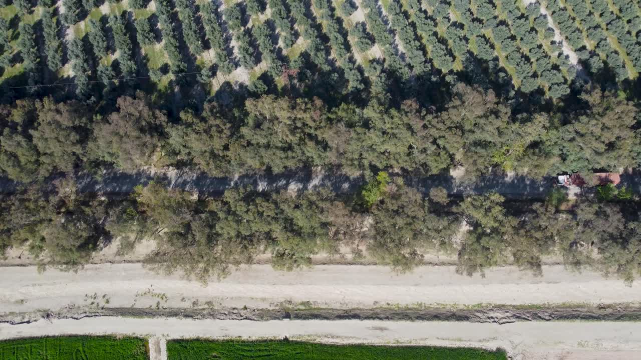 가르하르 의 도로 와 올리브 정원