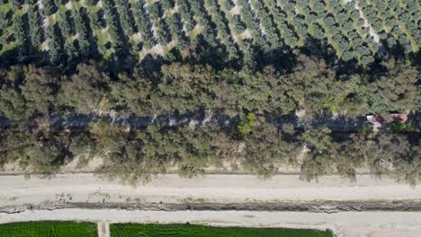 aussicht auf die straße und den olivengarten in nangarhar