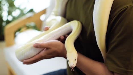 man with snake indoors