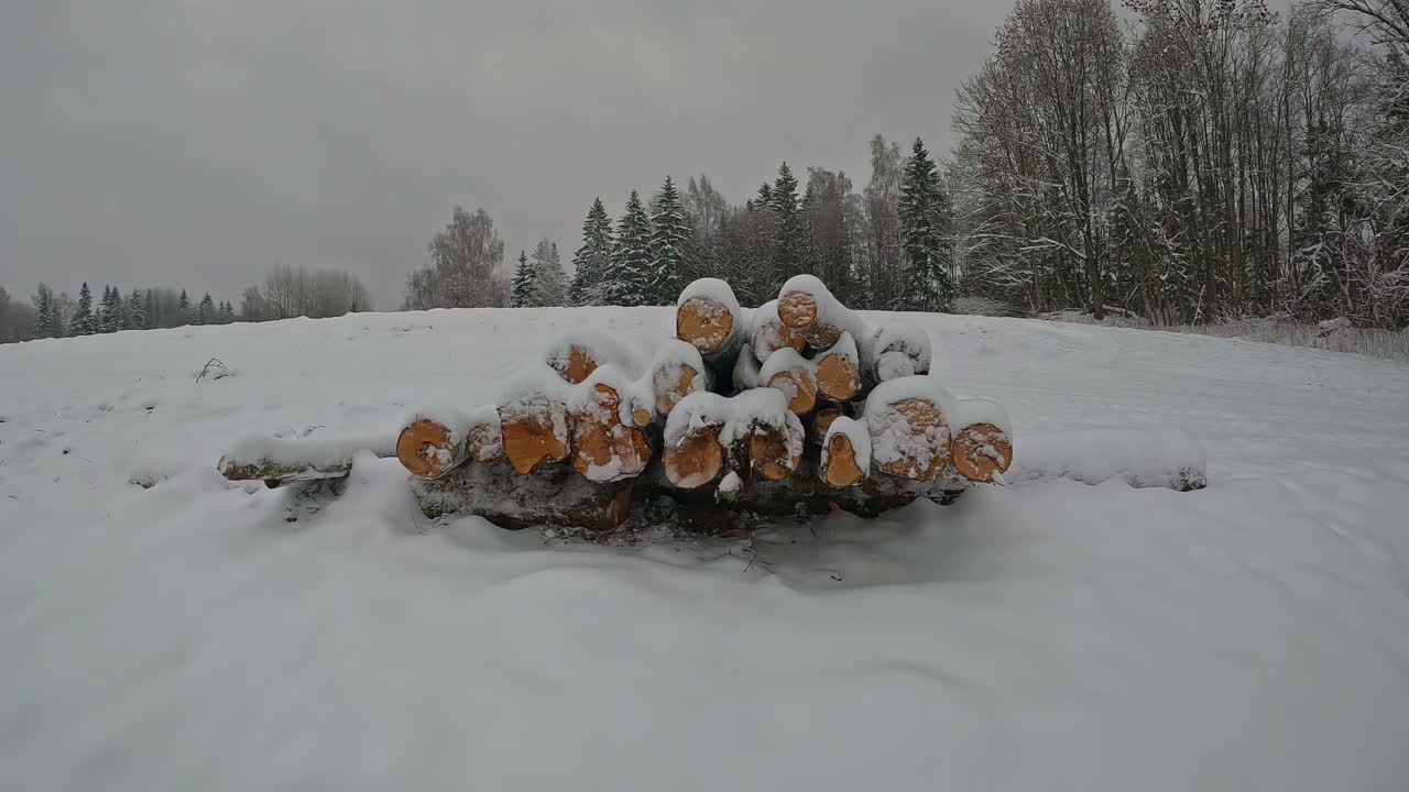 Dolly Push Towards Cut Timber Log Wood Pile Covered In Snow Outside In Winter Landscape