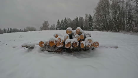 Dolly-Empuje-Hacia-La-Pila-De-Madera-De-Troncos-De-Madera-Cortada-Cubierta-De-Nieve-Afuera-En-El-Paisaje-Invernal