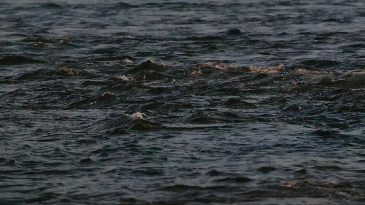 Dark, choppy ocean waves ripple under dim light. Surface reflects subtle gray and black tones. Water moves with gentle, rhythmic motion. Ideal for scenes of solitude, nature