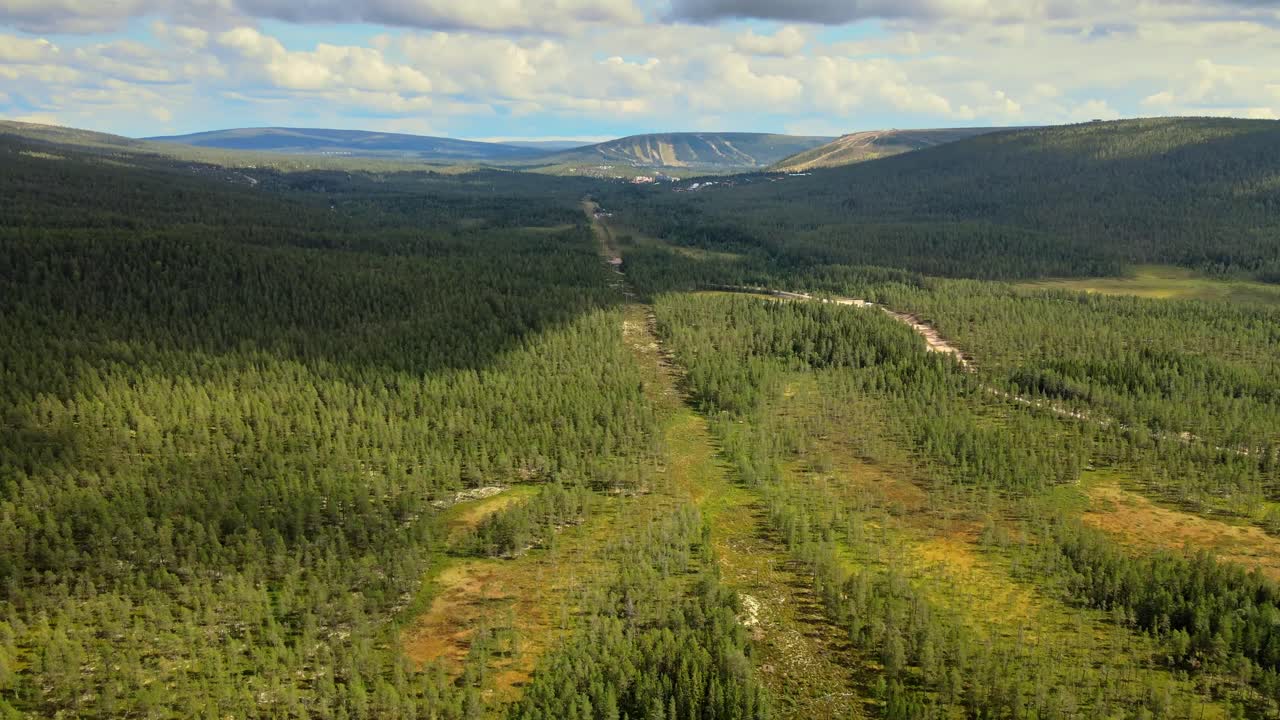 Lush Green Trees In The Forest With Mountain Views On A Sunny Day Near Salen In Dalarna, Sweden
