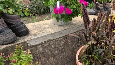 a person in boots walks along a stone ledge surrounded by colorful flowers and lush greenery in a well-maintained botanical garden, under natural daylight