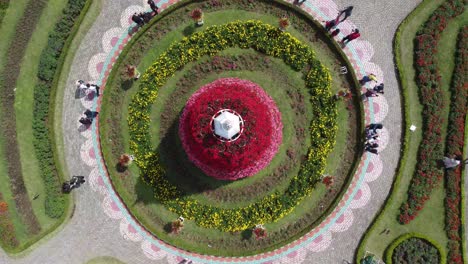 top view of beautiful flower garden in the middle of the city