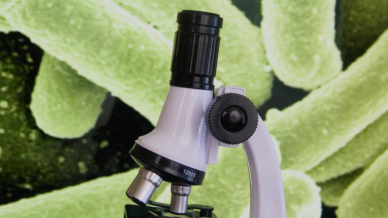A laboratory microscope stands before a magnified E coli bacteria background symbolizing microbiology research,