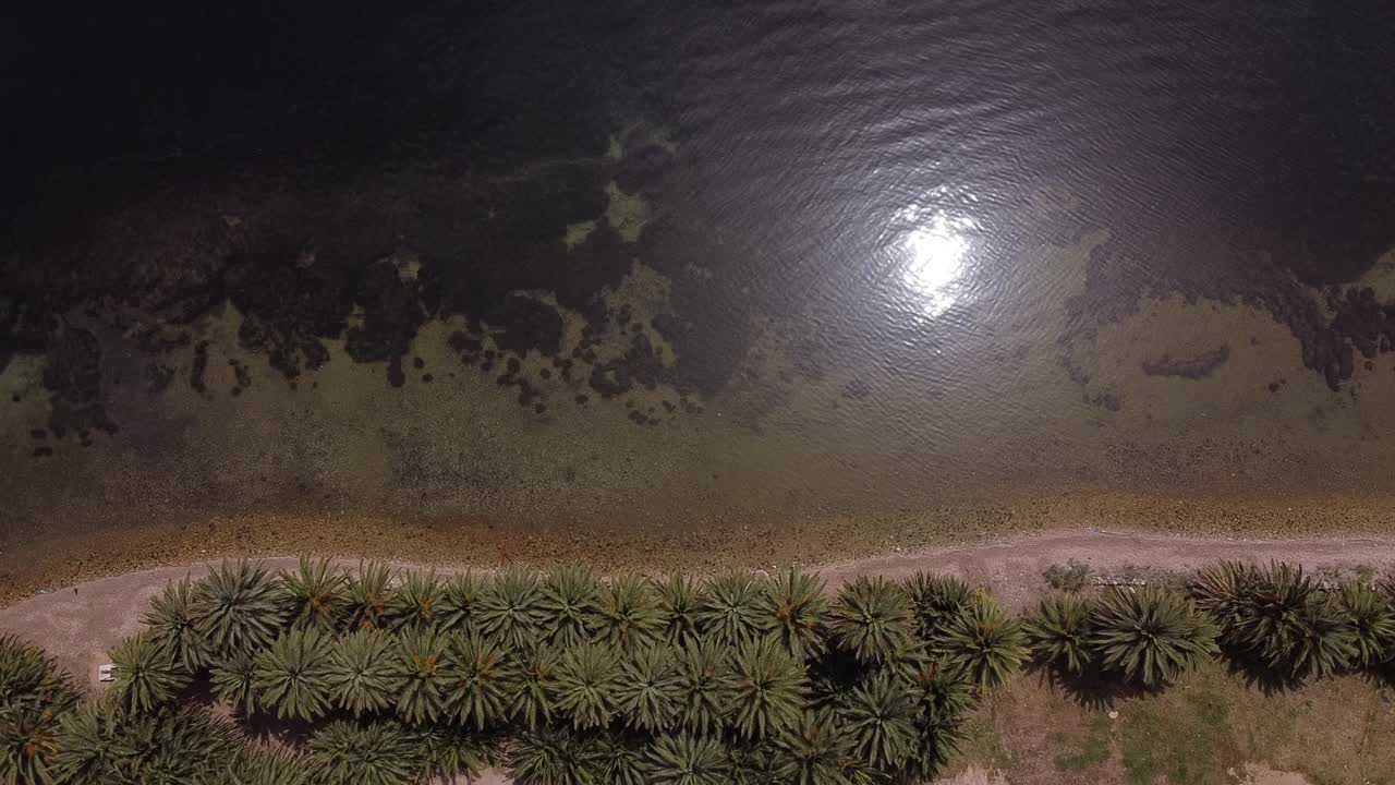 una vista de arriba hacia abajo de una playa de arena, con algunas palmeras en la orilla