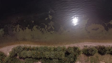 A-topdown-view-of-a-sandy-beach,with-some-palm-trees-on-the-shore