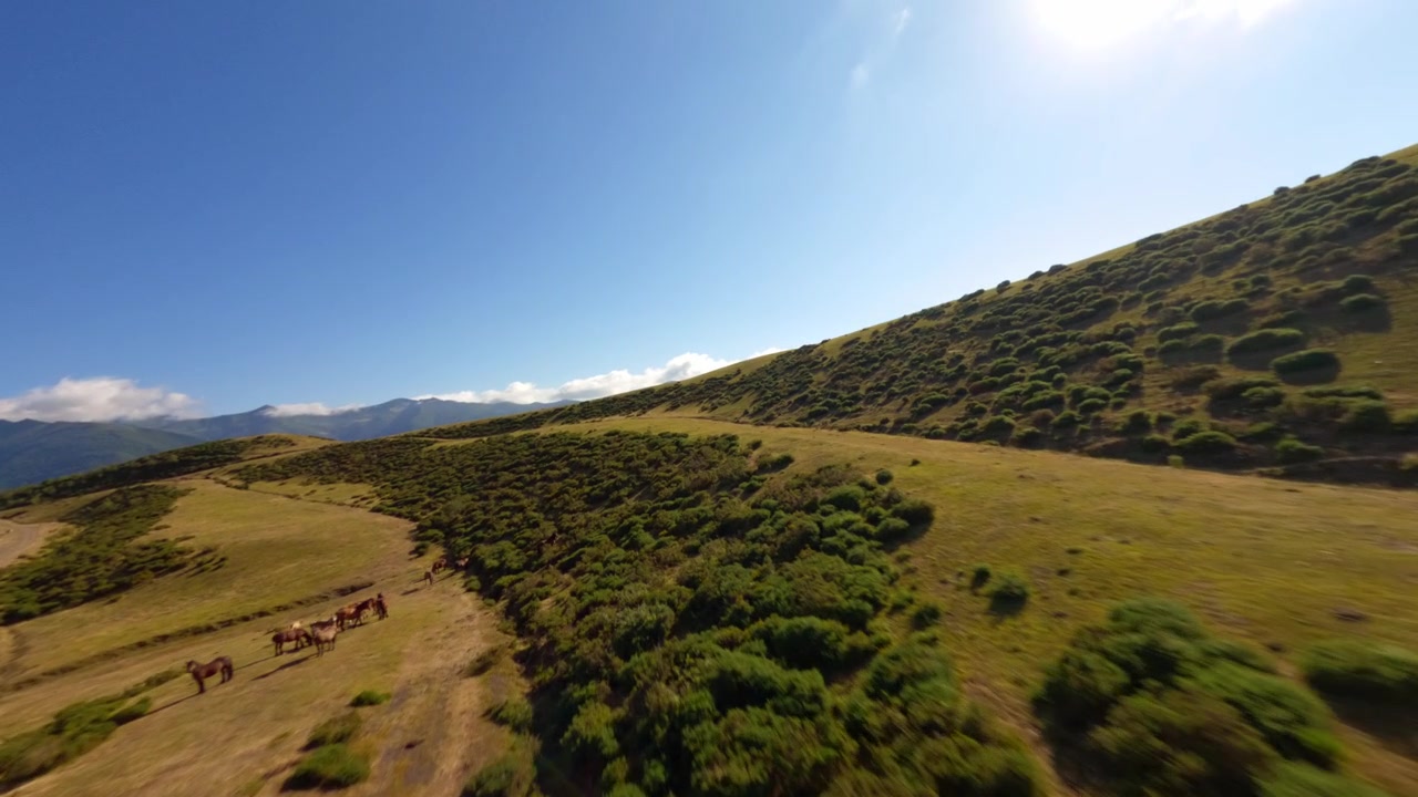 Video dinamico con drone FPV che sorvola le aspre colline di Coto Bello ad Aller, Asturie, Spagna. La luce solare dorata, le ombre lunghe e le viste panoramiche rivelano la bellezza naturale incontaminata della vecchia miniera a cielo aperto.