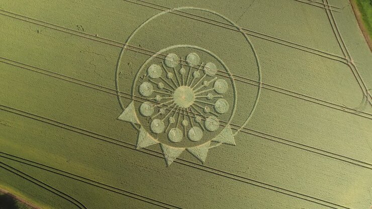 Discesa aerea rotante su un cerchio nel grano curioso ed enigmatico in un campo agricolo.