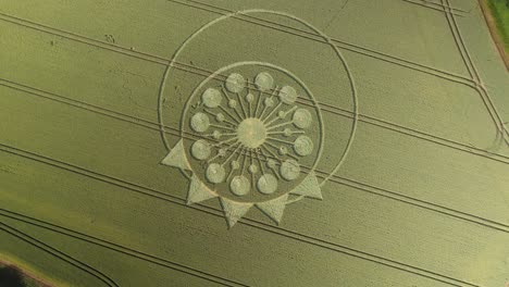 descenso aéreo giratorio sobre curioso y enigmático círculo de cultivo en el campo de la granja