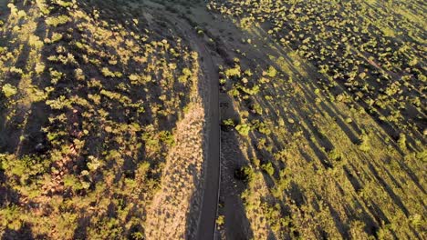 AERIAL-Following-a-Path-Down-Hill-Green-Trees-and-Green-Field