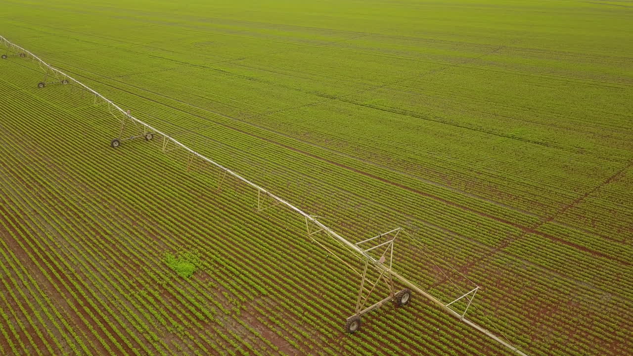 un sistema de riego se extiende a través de un campo de cultivo en brasil