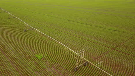 un sistema de riego se extiende a través de un campo de cultivo en brasil