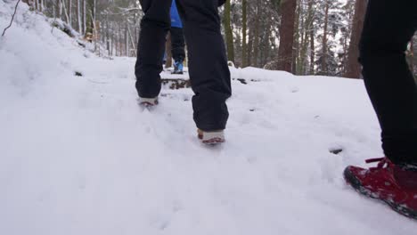 winter family hike, close up of the legs walking