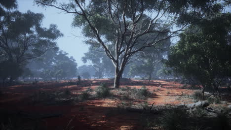 Küstenvegetation-Mit-Bäumen-Und-Sträuchern