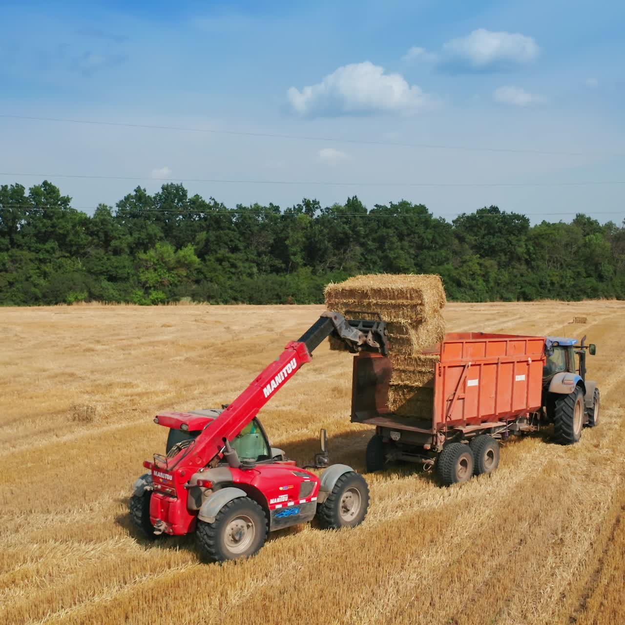 Small but powerful excavator lifts the hay bales to load them into tractor. Excavator bucket pushes the straw along the tractor car body. Top view