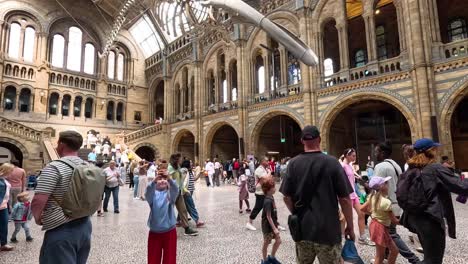 crowds admire the blue whale skeleton exhibit