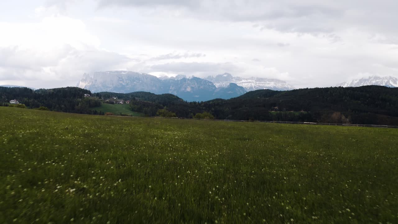 Shot zooming over a field of flowers in Italy's countryside