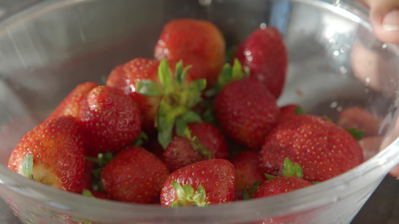 여자 가 그 에서 딸기 를 뽑고 있다