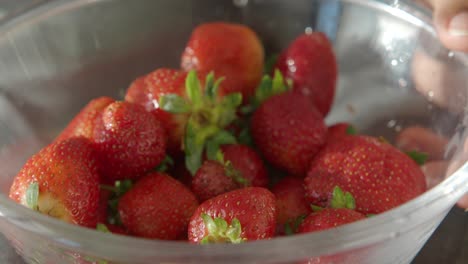 woman picking strawberries from a bowl