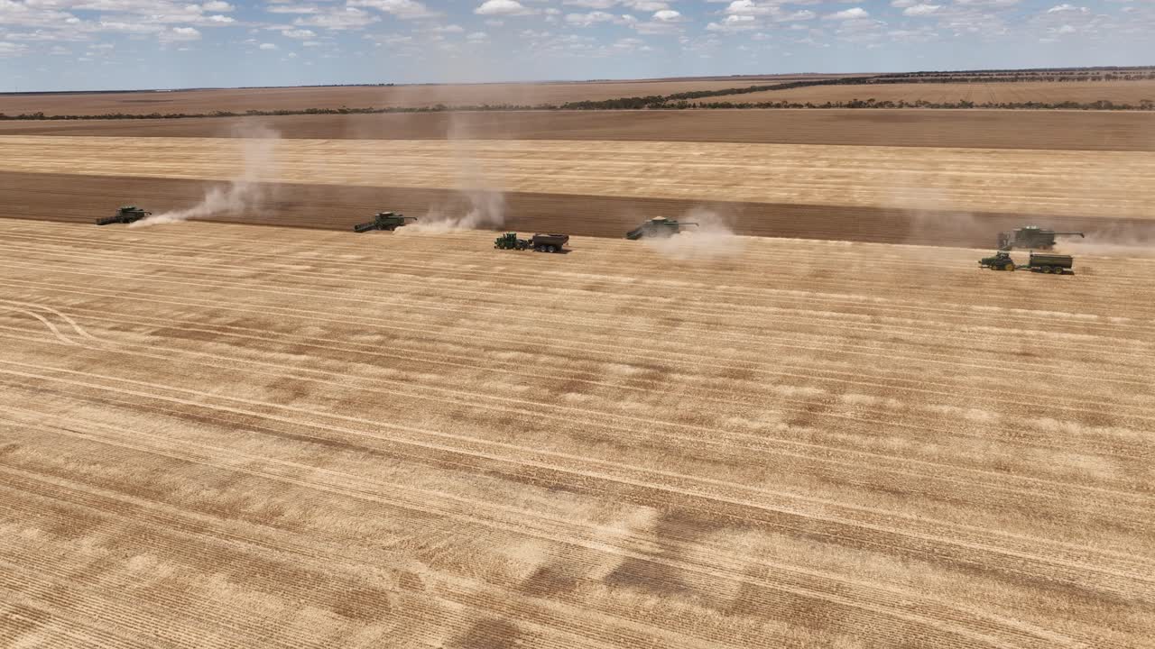 웨스턴오스트레일리아의 넓은 에이커 곡물 수확