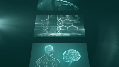 digitally generated video of medical data processing