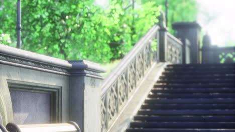 stairs and a bench surrounded by vibrant greenery on a sunny day