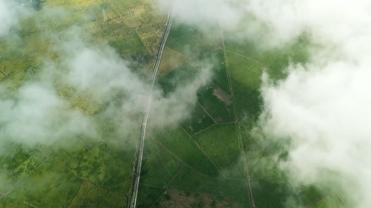 vista aérea de un hermoso campo de arroz sobre la nube blanca por la mañana.