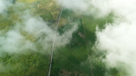 Vista-Aérea-Hermoso-Campo-De-Arroz-Sobre-La-Nube-Blanca-En-La-Mañana.