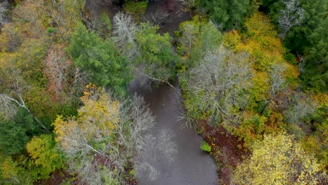 Fluss-Im-Herbst-Per-Drohne