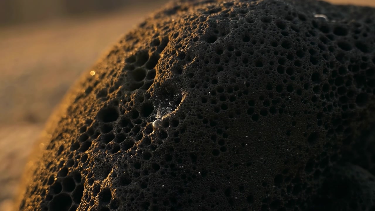 Macro close-up of a porous dark volcanic rock resting in the foreground on a sandy beach at golden hour. Warm directional sunlight from the side accentuates