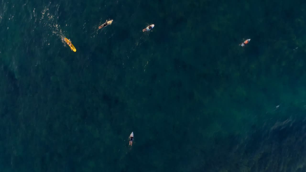 바다에서 서핑하는 서퍼들 4k