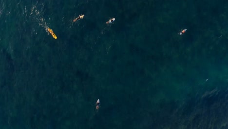 Surfistas-Surfeando-En-El-Mar-4k