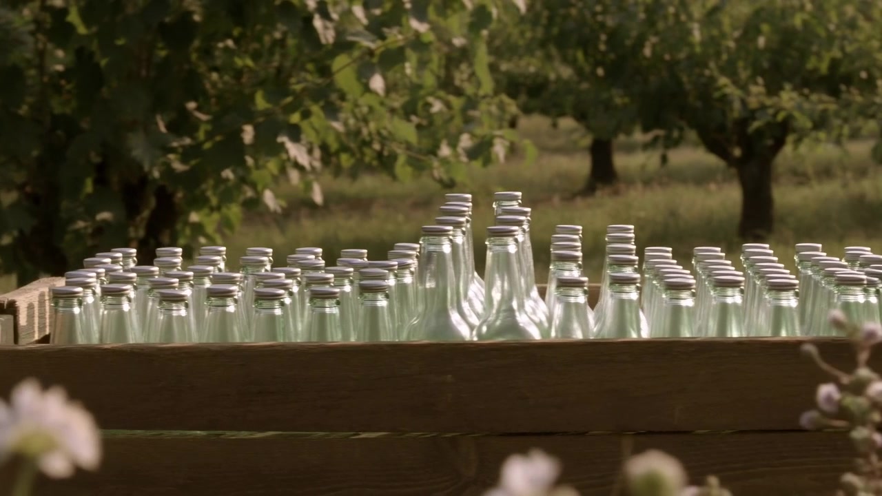 Horisontalt lavvinkelbillede, der viser trækasse fyldt med tætpakkede klare glasflasker med metallåg, arrangeret i ordnede rækker hen over kassens top i et løvrigt frugtplantagemiljø