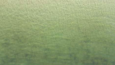 shallow blue sea water - top view