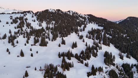 Vista-Aérea-Del-Paisaje-Nevado-En-Untervaz,-Suiza-Con-Coníferas-Al-Atardecer