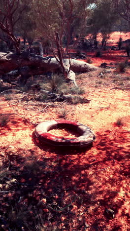 life preserver in the australian outback