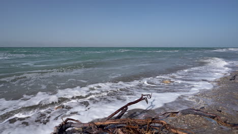 Lado-Del-Mar-De-Un-Mar-Muerto-Con-Algunas-Ramas-De-árboles-Húmedos-Varados-En-Una-Orilla