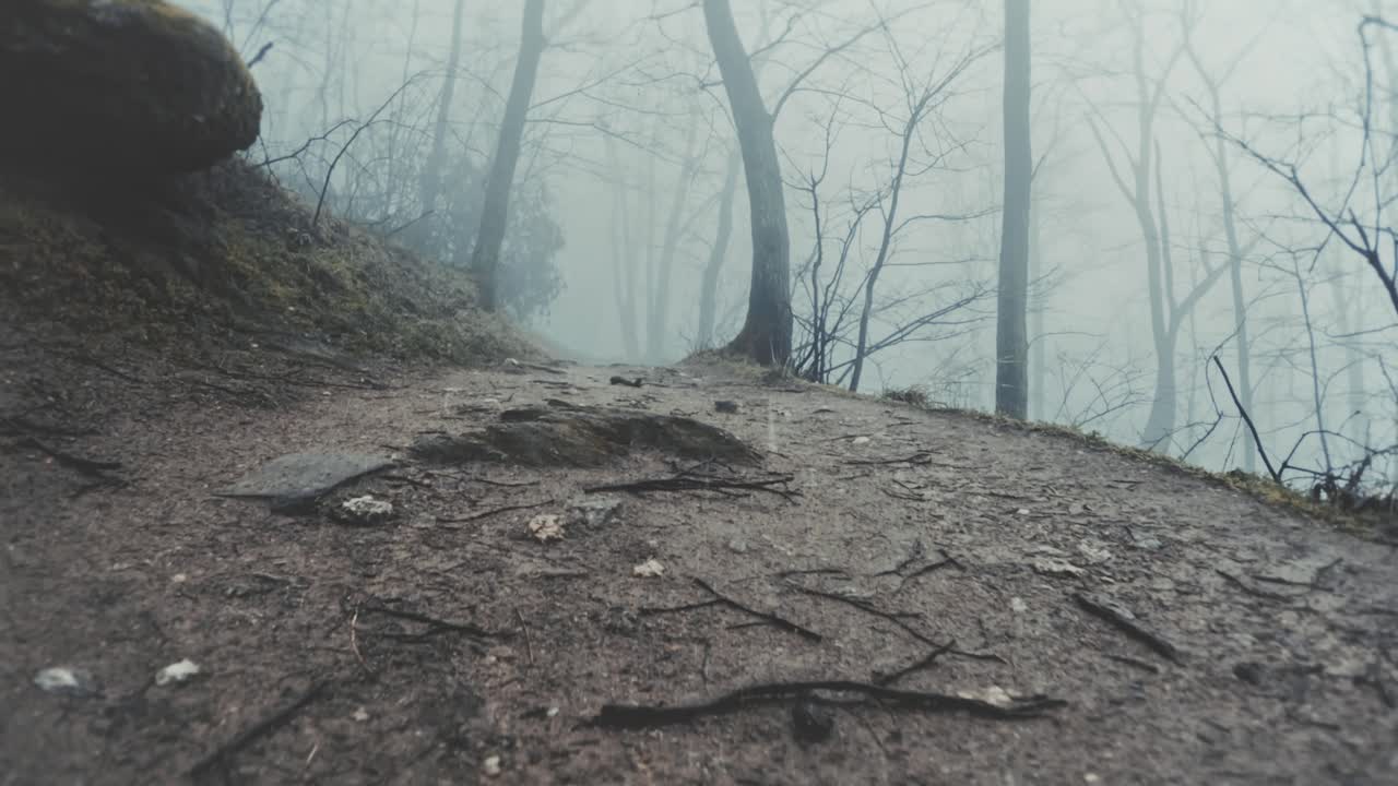 Vista in prima persona di un sentiero escursionistico piovoso in una foresta invernale nebbiosa. Ambiente naturale con terreno bagnato, alberi spogli e fitta nebbia, ideale per contenuti relativi a outdoor e meteo.