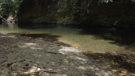 Flacher-Steiniger-Fluss-Im-Daintree-Nationalpark-In-Der-Nähe-Von-Emmagen-Creek-Schwimmloch-In-Cape-Tribulation,-Queensland,-Australien