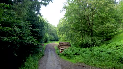 4k-Drohnenvideo,-Das-Auf-Einem-Waldweg-Auf-Einen-Haufen-Baumstämme-Zufliegt