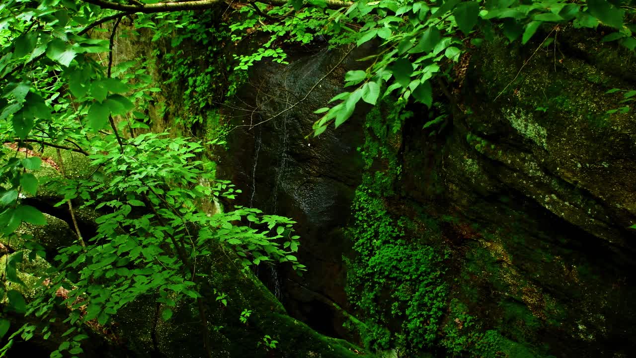 vista aérea de una pequeña cascada que cae por una cornisa rocosa rodeada de árboles y vegetación