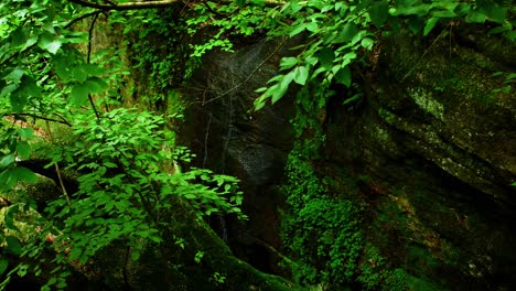 Overhead-view-of-a-small-waterfall-trickling-down-a-rocky-ledge-surrounded-by-trees-and-vegetation