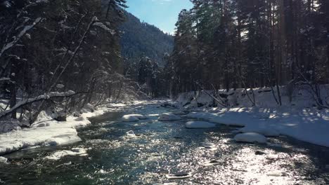 Beautiful-snow-scene-forest-in-winter.-Flying-over-of-river-and-pine-trees-covered-with-snow.